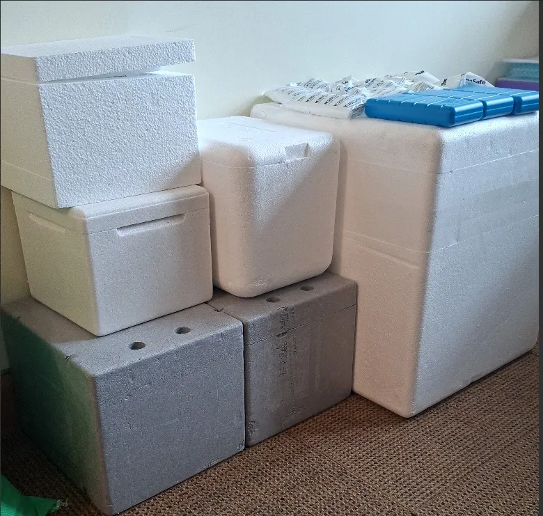Cooler Boxed and Ice-Packs