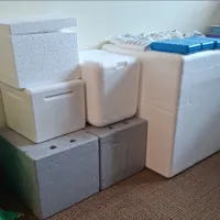 Cooler Boxed and Ice-Packs