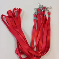 Lanyard